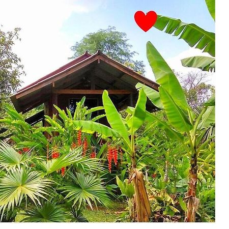 Pencave Homestay Pang Mapha Exteriér fotografie