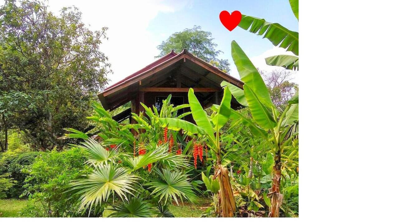 Pencave Homestay Pang Mapha Exteriér fotografie